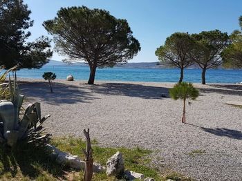 Park Hotell Crikvenica Exteriör bild